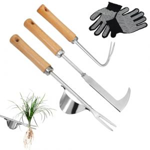 Désherbeur Manuel en Acier Inoxydable, avec gants antidérapants, Arrache Mauvaise Herbe Outil de Désherbage, Arrache Pissenlit Couteau, pour Eliminer Les Mauvaises Herbes des Jardins,Potagers(3PCS) (KANGMUKEJI, neuf)