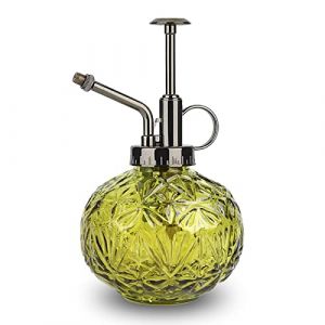 Vaporisateur D'Arrosage en Verre, 200 ML Arrosoir R&eacute;tro Avec Pompe Sup&eacute;rieure en Or Pour Plantes Succulentes, Jardin et Nettoyage (Vert) (yuefangde, neuf)
