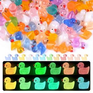 KENPOJO 200 Pièces Mini Canard, Petit Canard a Cacher Lumineux en Résine, 15 Couleurs Mini Figurines de Canards, Canards Miniatures pour Aquarium, Jardin, Paysage, Maison de Poupée, Bricolage (FERDINANDO  MARTI  S.R.L., neuf)