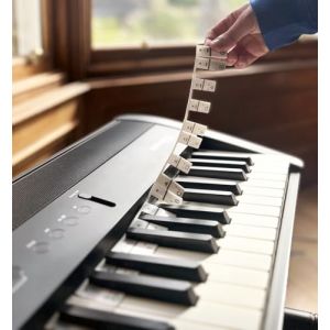 Noisy Clan Bandes de notes amovibles en silicone pour piano et clavier – Convient aux claviers complets à 88 touches – Outil d'apprentissage de la musique pour la rentrée scolaire (Noisy Clan, neuf)
