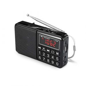 WE Radio Grandes Ondes AM/FM/SW Lecteur USB/Micro SD Batterie Rechargeable - Noire (Acheternet ?, neuf)