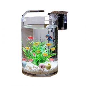 GLigeT Aquarium Complet Aquarium &agrave; Poissons en Verre Salon Bureau Bureau Petit Aquarium &agrave; Poissons cylindrique Transparent for Poissons Rouges Bac &agrave; Poisson(30x25cm) (Elitebazaar⭐⭐⭐⭐⭐, neuf)