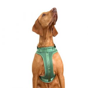 Harnais anti-traction pour chien - Réglable et confortable - Petites et moyennes races - Promenades sûres et sans traction - La Casa de Turrón (Jungle (Vert), L (La Casa de Turrón, neuf)