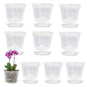 Xmart 10 pièces Pot Orchidée Transparent avec Trous et Soucoupes Jardinière à Fentes pour Orchidées Pots de Culture pour Orchidées pour Bureau de Balcon Intérieur et Extérieur Plantes 14cm (MEIZHEN, neuf)