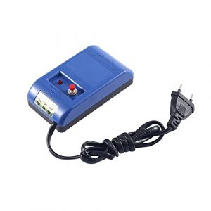 D&eacute;magn&eacute;tiseur de Montre Professionnel - Outil de R&eacute;paration &agrave; Quartz, Magnetiseur Demagnetiseur Pour D&eacute;magn&eacute;tisation de Bijoux - 110-220V, Prise EU (FANHANUK, neuf)