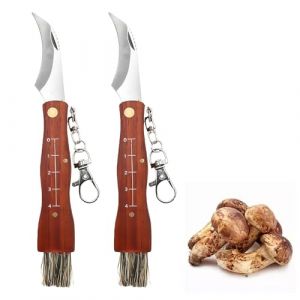 LUMOOM Lot de 2 couteaux à champignons avec brosse, couteau éponge avec pinceau, couteau de poche champignon, couteau pliant avec manche en bois, cadeau pour cueilleur de champignons (INTERNAVIGARE S.R.L., neuf)