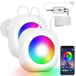 LyLmLe 40W Eclairage Piscine LED sans fil, 12V Double Lumières Piscine Submersible, Dimmable, Minuteur Étanchéité IP68 Lampe Magnétiques Piscine avec 8m Câble pour Piscine Hors Sol Enterrée (Raypole International, neuf)