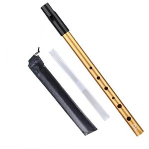 Fl&ucirc;te Irlandaise Tin Whistle Tonalit&eacute; D Son Exceptionnel Fl&ucirc;te &agrave; Bec Pour D&eacute;butants Amateurs de Musique avec &Eacute;tui Protecteur (KINGDOLE, neuf)