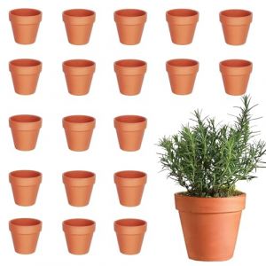 xolear 20 Pi&egrave;ces Terre Cuite Mini 4,5 x 4 CM, Tpots en Terre Cuite avec Trous de Drainage, Small Terracotta Pot DIY, pour Fabriquer des Plantes, des Plantes Succulentes et des D'int&eacute;rieur (hongfuy, neuf)