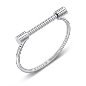 AILUOR Acier Inoxydable D Forme Bar Vis Manille Fer à Cheval Nouveauté Fashion Bracelet Bijoux Bracelet pour Argent (AILUOR Direct-EU, neuf)
