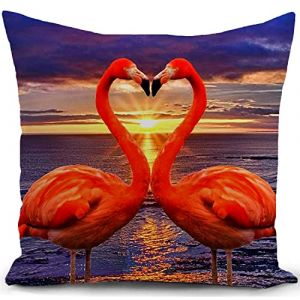 HUASHUZI Housse de coussin motif flamant rose - Couvre-coussin d'amour au coucher du soleil pour d&eacute;coration de la maison - Canap&eacute;, lit, d&eacute;cor de canap&eacute; - Housse de coussin jetable - Cadeau - 45 x 45 (?HUASHUZI?, neuf)