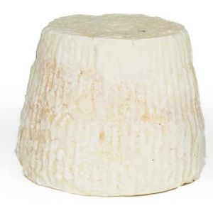 Ricottina italienne Salumi Pasini&reg; | Ricotta sal&eacute;e au lait de brebis et de ch&egrave;vre | 1 kg (Salumi_Pasini, neuf)