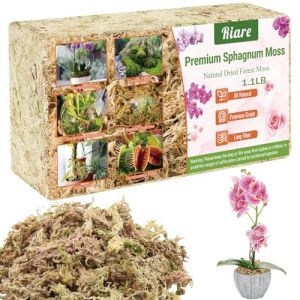 Riare 500g Sphaigne pour Plante Naturelle Compressé Sphaigne pour Orchidées Mélange pour Pot - pour la Culture de Plantes à la Maison,Fée Jardins (500g) (YLGA, neuf)