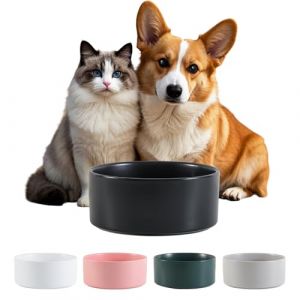 C&eacute;ramique Gamelle Chien Antid&eacute;rapante - Bol Chien Croquette et Eau pour Petit et Moyen - Gamelle pour Chat Grand pour Eau - Bol C&eacute;ramique Anti&eacute;claboussure - 15 cm - 320 g / 720 ML - Noir (PTOBER, neuf)