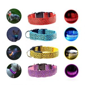 DIGIGLO - Collier Lumineux pour Chat et Chien Rechargeable par USB, Lumière LED, Etanche, 3 Modes d'éclairage, Longueur Ajustable. (Moyen, Jaune) (Digiglo, neuf)