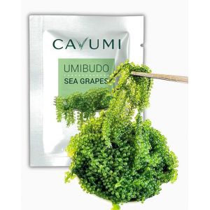 CAVUMI Grapes de mer 25 g/Raisins de mer comme collation d'algues/algues de mer s&eacute;ch&eacute;es/Umibudo comme caviar vert croustillant (Cavumi, neuf)