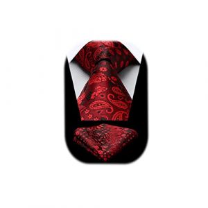 HISDERN Noir Rouge Cravate pour Hommes Élégant Cravates de Mariage Paisley Hommes Cravate Set (hisdern, neuf)