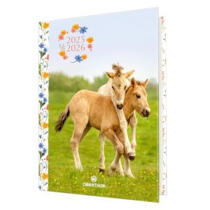 Oberthur - 1 Agenda Scolaire Journalier - Collection Cheval - Visuel Poulains - Août 2025 à Juillet 2026 - Format 12 x 17 cm (Papeterie Libellus, neuf)