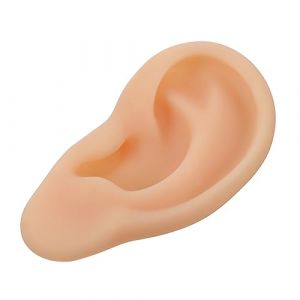 HEALEEP 1 pièce Modèle Oreille Silicone Modèle de Réaliste pour Enseignement Démonstration Maquette Anatomique pour Écoles et Hôpitaux (Aesthetiscs, neuf)
