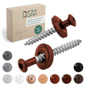 DSM | Vis Spengler rouge oxyde 4,5 x 60 mm | Acier inoxydable A2 &ndash; peint RAL 3009 | avec rondelle d'&eacute;tanch&eacute;it&eacute; EPDM (15 mm) | entra&icirc;nement Torx | similaire &agrave; DIN 7995 / DIN 9171 | Vis pour t&ocirc;le (DSM-Verbindungstechnik GmbH, neuf)
