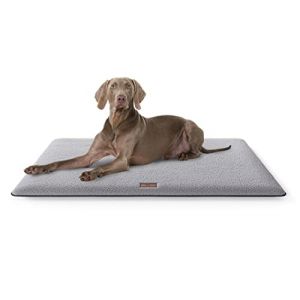 Knuffelwuff Tapis Douillet pour Chien, Calliope, en Peluche, 120 x 80 cm, Gris, Coussin pour Chiens de Grande, Moyenne et Petite Taille, pour la Maison, la Voiture, Le Camping-Car, la Caravane (Knuffelwuff, neuf)