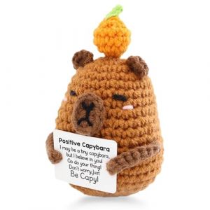 FOSDICK Capybara Peluche Positive, Crochet à la Main Cadeau Positif, Mignon Créatif Positive Capybara avec Carte, Cadeau Message Positif Capibara pour Petite Amie, Votre Femme, Votre Fille (FOSDICK, neuf)