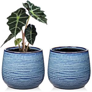 Oairse Lot de 2 pots en c&eacute;ramique pour plantes d'int&eacute;rieur de 14 cm, avec trous de drainage, pots de fleurs d&eacute;coratifs bleus pour plantes grasses, cactus, plantes d'appartement (Oairse-eu, neuf)
