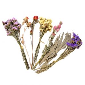 Generisch Litière pour Hamster - Litière de - Literie Naturelle - Accessoire de Cage à Hamster avec thème Naturel - Accessoire de Cage pour Gerbille (Jiaruitm, neuf)