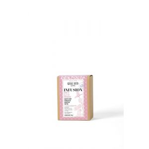 Infusion « Diet & Co » (Maté Vert, Menthe, Hibiscus, Ortie) 15 Infusettes (QUAI SUD, neuf)