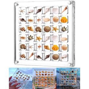 KGDUYC 1 coque magn&eacute;tique transparente Bo&icirc;te de pr&eacute;sentation - Coquille magn&eacute;tique en acrylique, &eacute;toile de mer, bo&icirc;te &agrave; bijoux d&eacute;corative pour perles, clous (transparent) (Qertyias O&Uuml;, neuf)