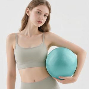 VELLUSTRA 2PCS Ballon Grossesse, 25CM Balles d'exercices Fitness, Gymnastique Gym avec Pompe Rapide, Anti-éclatement et Anti-Dérapant Yoga Ball, Swiss Ball de Gym Yoga Grossesse Siege Bureau (STORE KADRI NADIA S.R.L., neuf)