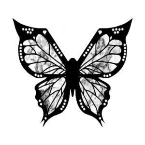 Pochoirs papillon pour maquillage des yeux - Pochoirs réutilisables - Outil de guide d'application pour les yeux (LEAVE%, neuf)