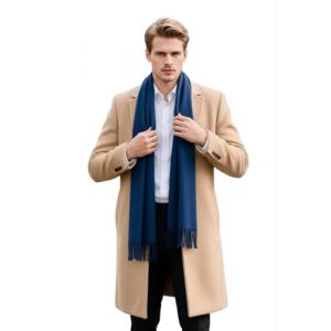 LA Ferani &Eacute;charpe pour homme en cachemire &eacute;l&eacute;gante pour l'automne et l'hiver, fine 185x65, &eacute;l&eacute;gante pour les occasions formelles, &eacute;charpe en cachemire &eacute;l&eacute;gante et souple, &eacute;charpe en laine, laine uni (LA FERANI, neuf)