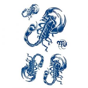 5 Pc Tatouage Ephemere Scorpion Tatouage Ephemere Insectes Tatouage Ephemere Temporaires Semi-Permanents Tatouage Ephemere Bras Faux Tatouages (PEKNUX, neuf)