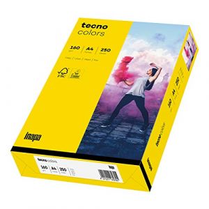 inapa Tecno Colors Lot de 250 feuilles de papier color&eacute; 160 g/m&sup2; Jaune intense Format A4 (novaStore, neuf)