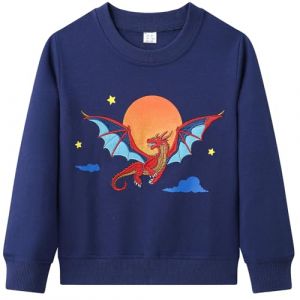 Dinopjs Pull pour gar&ccedil;on, sweat-shirts chauds pour gar&ccedil;ons, animaux de dessin anim&eacute; classique, tracteur, dinosaure, dragon, chevalier volant, arc-en-ciel, arbre de No&euml;l ours polaire, t-shirts de sport (Dinopjs-FR, neuf)