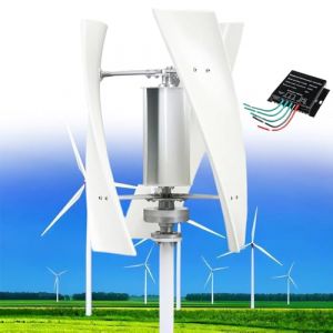 Fablestoryem Kit de Générateur d'éolienne 14000W, Kit de Générateur de Vent Vertical d'éolienne 12V/24V/48V/110V/220V, équipement de Producteur d'électricité, Kit d'énergie Domestique,White-48V (QIAOLANSHOP, neuf)