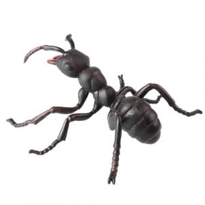 AENIMELY Grande Figurine de Fourmi Noire - Jouet mod&egrave;le d'insecte r&eacute;aliste Creux pour Les Enfants - Jouet d'insecte &eacute;ducatif STEM pour l'exploration de la Nature et Les projets scientifiques (AYXLIMAL, neuf)