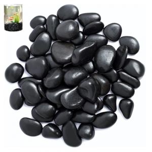Galets, 2-4 cm Galets Noir de Jardin, 1kg Pierres D&eacute;coratives, Pierres de Rivi&egrave;re Plantes, Galets D&eacute;coratifs Polis, pour L'am&eacute;nagement Paysager, la D&eacute;coration de la Maison, les Projets Artistiques (VIQIHEOE Store, neuf)