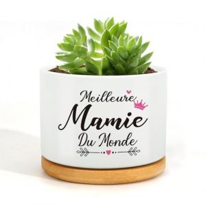 Wixelon Cadeau Mamie Noel,Cadeau Anniversaire Mamie,Cadeau pour Mamie Pot de Fleur,Cadeau Mamie Original,Idee Cadeau Grand Mere,Cadeau Fete des Mere (YXTwlkj, neuf)