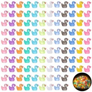 Halinuia 120 Pcs 12 Couleurs Mini Canard Lumineux Petit Canard a Cacher Canards Miniatures Mini Canards en Résine Mini Canard Figurine Phosphorescente pour Aquarium Maison De Poupée Bricolage (JKLkds, neuf)
