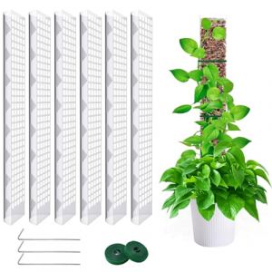 LINSOCLE 6 Pièces 60cm Tuteur Sphaigne,Tuteur Monstera, Moss Pole pour La Maison Monstera Jardin Plante Grimpantes Extension De Support De Plante (Xinkongsky, neuf)