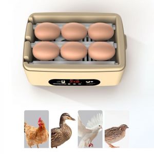 Couveuse à œufs avec,NOUVEAUTÉ 2024 entièrement Automatique,numérique,avec contrôle de la température et Rotation Automatique pour éclore Poulet, Canard, oie, caille, couveuse d'œufs (6 Oeufs) (ChangshaXiongzhankejiyouxiangongsi, neuf)