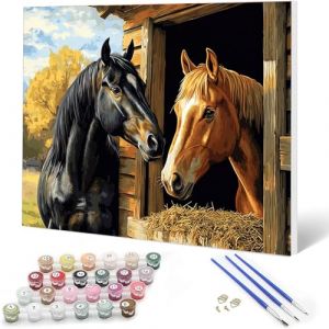 Auremi Cheval Peinture par num&eacute;ros 20x30 avec cadre&ndash;Animaux Peinture par num&eacute;ros adulte facile&ndash;Kit cadeau cr&eacute;atif pour&ndash;Tableau DIY d&eacute;tente &agrave; peindre (SHXLX, neuf)