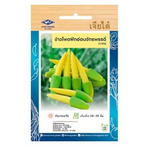 Graines de ma&iuml;s mini baby corn tha&iuml; &ndash; CORN Chia Tai Home Garden &ndash; Ma&iuml;s doux miniature pour cuisine asiatique, wok et conserves &ndash; R&eacute;colte en 30&ndash;35 jours (Parintha, neuf)
