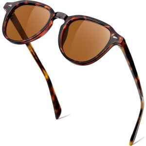 KANASTAL Lunettes de Soleil Polaris&eacute;es Femme R&eacute;tro Lunette de Soleil Ronde Homme Vintage L&eacute;ger Cadre TR90 avec Branches en Ac&eacute;tate Protection UV400, Cadre &Eacute;caille et Verre Marron (kanastal, neuf)