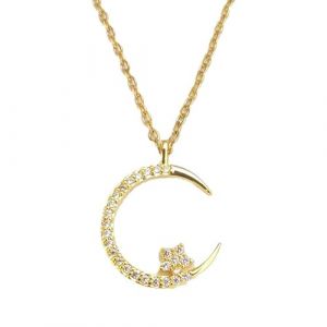 Bright Night : collier étoile lune, collier étoile de lune en alliage pour femme, collier élégant avec pendentif étoile lune, chaîne, bijoux cadeau (Gold) (Zhui He Shang Mao You Xian Gong Si, neuf)