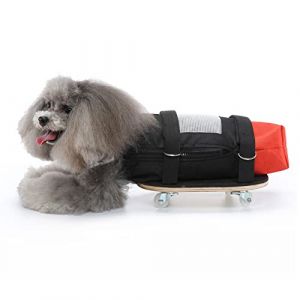 Fauteuil Roulant pour Chien Chat pour Pattes Arrières, Scooter de Marche pour Animaux de Compagnie avec Roues Silencieuses, Scooter D'assistance pour Chien Chat handicapé, Protège la Poitrine et les (Richer-R123, neuf)