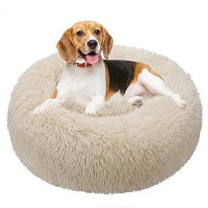 TAMOWA Panier Rond Chien Coussin Chat Panier Donut, Panier Chien Lit pour Chat Chien Extra-Doux Confortable et Mignon, Coussin pour Chats et Petits Chiens de Taille Moyenne, 60cm, Beige (Madscal, neuf)