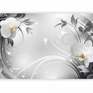 Papier peint murando panoramique nature 400x280 cm - Revêtement mural décoration pour chambre salon - Design unique et moderne - Marron gris jaune - Fleurs nature orchidées plantes b-A-0060-a-b (murando, neuf)